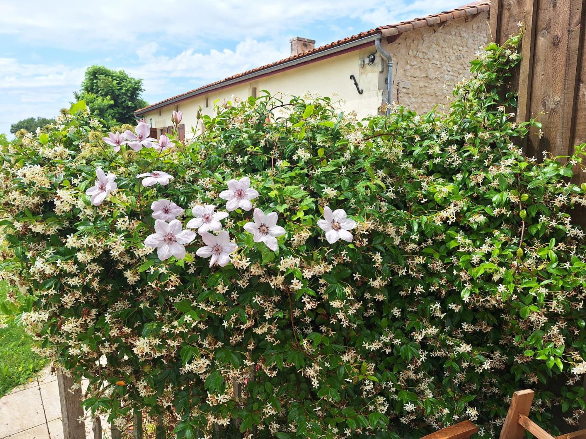 Gite Cosy Grand Confort Dans Un Ecrin De Verdure Agudelle エクステリア 写真