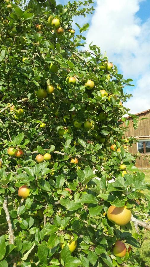 Gite Cosy Grand Confort Dans Un Ecrin De Verdure Agudelle エクステリア 写真